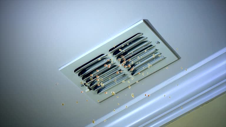 Best General Air Duct Cleaning  in Garrison, MD
